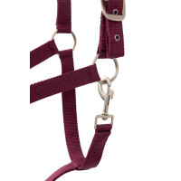 Set halster Horze Eternal Gaze Paarse potion Violet