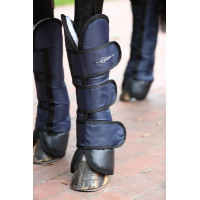 Transportbeschermers Dexter Covalliero Donkerblauw Transportbeschermers Dexter Covalliero Donkerblauw