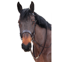 Jachtteugel Canter Bruin Jachtteugel Canter Bruin