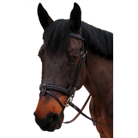 Bridon Canter gebombeerd 1/2 rond Nino Bruin Bridon Canter gebombeerd 1/2 rond Nino Bruin