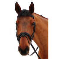 Bridon Canter Mylord Noir / noir Bridon Canter Mylord Noir / noir