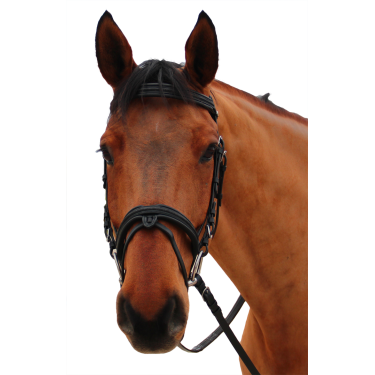 Bridon Canter Mylord Zwart / zwart