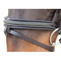 Bridon Canter Mylord Marron / vert