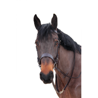 Rênes bredies Canter Marron Rênes bredies Canter Marron