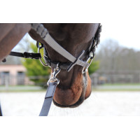 Jachtriem Canter Bruin