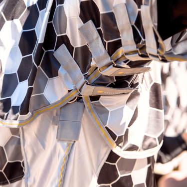 Vliegendeken Equilibrium Grijs