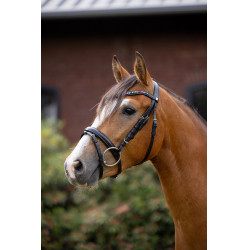 Pony hoofdstel Rainbow Dash Horze Zwart