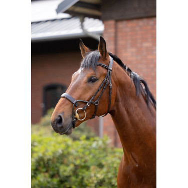 Bridon Chio Horze Cognac Marron