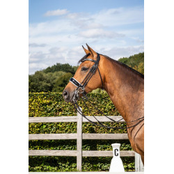 Bride Muserolle Large Vernie Doublure Blanche Dy'on dressage collection cuir rond