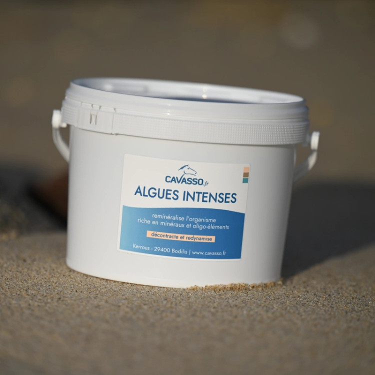 Algues Premium Intense Cavasso Algues Premium Intense Cavasso