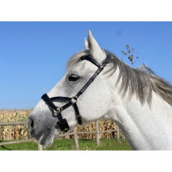 Side-pull leer T van T Zwart Side-pull leer T van T Zwart