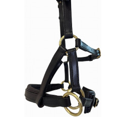 Side-pull cuir T de T Havane foncé Marron