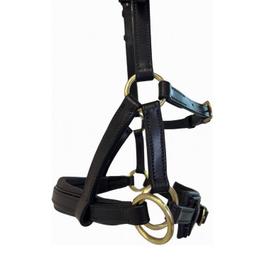 Side-pull cuir T de T Havane foncé Marron