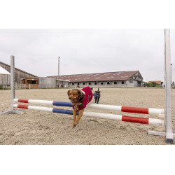 Couverture polaire Diego & Louna Teddy Bordeaux