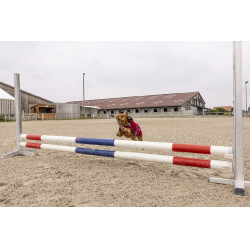 Couverture polaire Diego & Louna Teddy Bordeaux