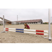 Polar fleece deken Diego & Louna Teddy Zwart