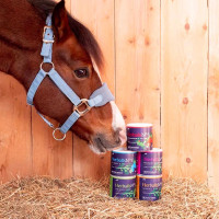 Herballs Hilton Herbs N° 1 Menthe & Origan