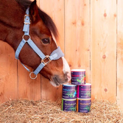 Herballs Hilton Herbs N° 1 Menthe & Origan Herballs Hilton Herbs N° 1 Menthe & Origan