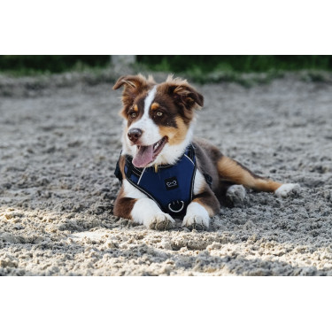 Harnais pour chien Riding World Simba Harnais pour chien Riding World Simba