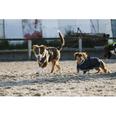 Harnais pour chien Riding World Simba Harnais pour chien Riding World Simba