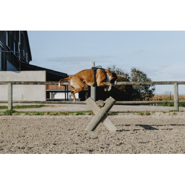 Harnais pour chien Riding World Simba Harnais pour chien Riding World Simba