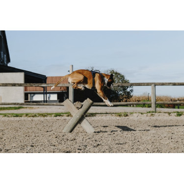 Hondentuig Riding World Simba Hondentuig Riding World Simba
