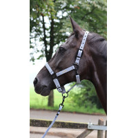 Longe d'attache Lami-Cell Midnight Mauve