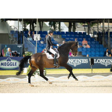Broek Pikeur Laure full grip dames Broek Pikeur Laure full grip dames