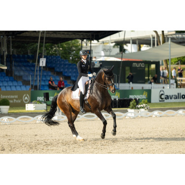 Broek Pikeur Laure full grip dames Broek Pikeur Laure full grip dames