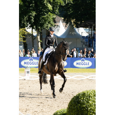Broek Pikeur Laure full grip dames Broek Pikeur Laure full grip dames
