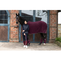 Eskadron polobandages Donkerpaars Bordeaux Eskadron polobandages Donkerpaars Bordeaux