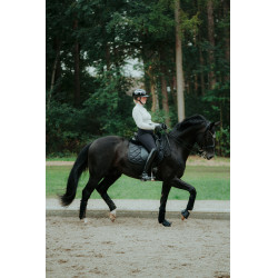 Casque d'équitation Abus Airluxe Chrome L.V Noir brillant