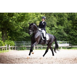 Abus Airluxe Supreme paardrijcap Zwart Abus Airluxe Supreme paardrijcap Zwart