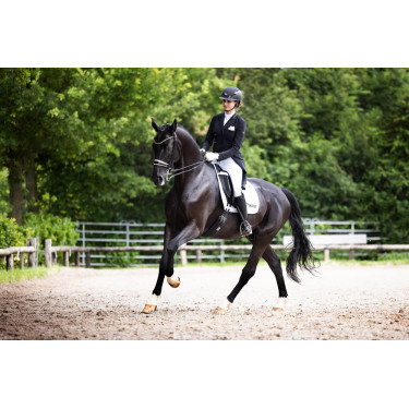 Abus Airluxe Supreme paardrijcap Zwart Abus Airluxe Supreme paardrijcap Zwart