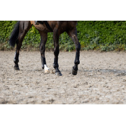 Guêtres de protection Eskadron Antérieurs Noir