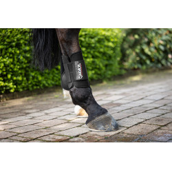 Guêtres néoprène postérieur Eskadron Noir Guêtres néoprène postérieur Eskadron Noir