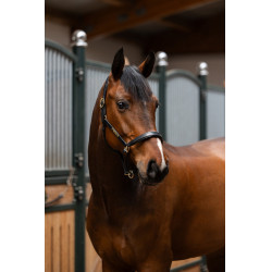 Lederen halster Eskadron Elegance Lederen halster Eskadron Elegance