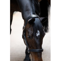 Leren halster Eskadron Stallion Zwart