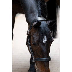 Leren halster Eskadron Stallion Zwart