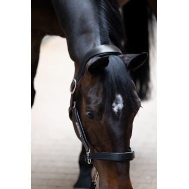 Leren halster Eskadron Stallion Zwart