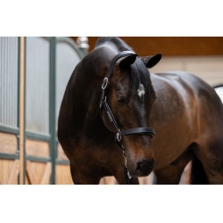 Licol en cuir Eskadron Stallion Noir