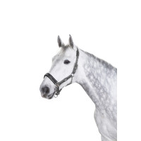 Halster Eskadron gesp Anthracite / blanc / noir