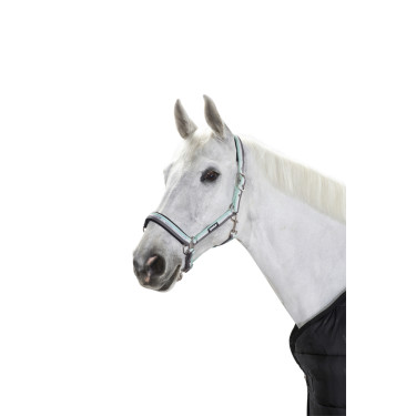 Halster Eskadron gesp IJs / wit / steen Blauw