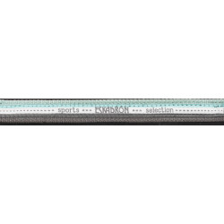 Halster Eskadron gesp IJs / wit / steen Blauw Halster Eskadron gesp IJs / wit / steen Blauw