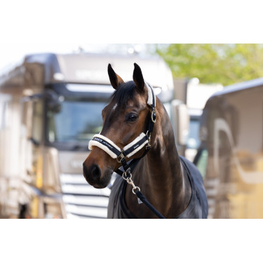 Halster Eskadron imitatiebont Dubbele gesp Zwart