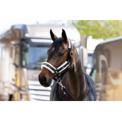 Licol Eskadron fausse fourrure Double pin Noir