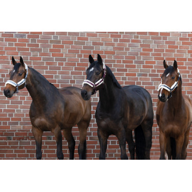 Licol Eskadron fausse fourrure Double pin Bleu cendré Licol Eskadron fausse fourrure Double pin Bleu cendré