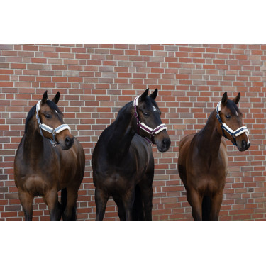 Halster Eskadron imitatiebont Dubbele gesp Asgrijs Blauw