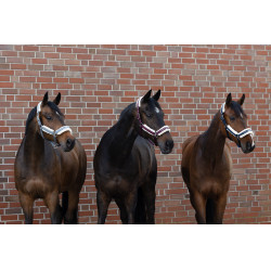 Licol Eskadron fausse fourrure Double pin Bleu cendré Licol Eskadron fausse fourrure Double pin Bleu cendré