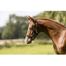 Halster Eskadron Veulen Zwart